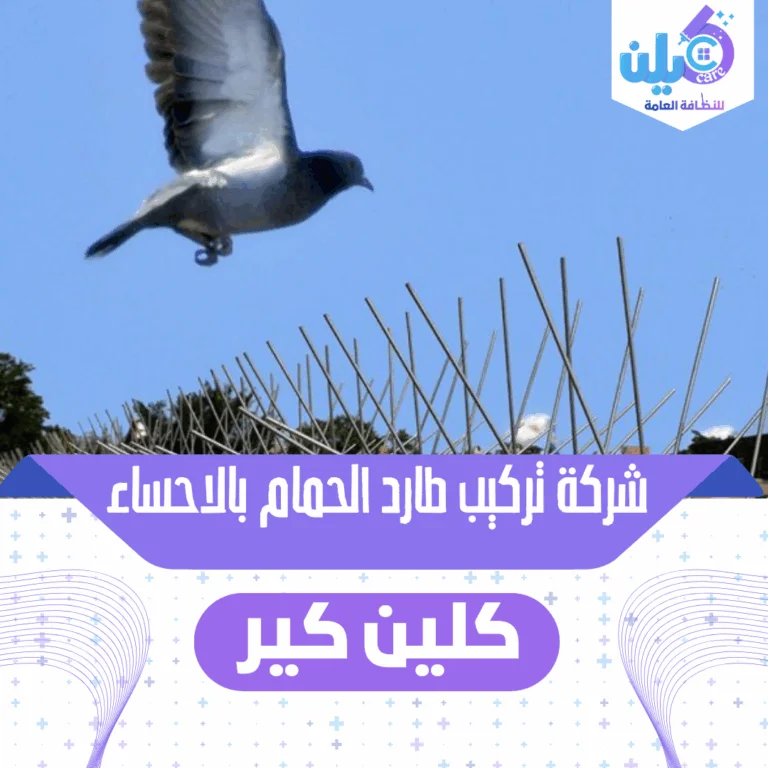 شركة تركيب طارد الحمام بالاحساء