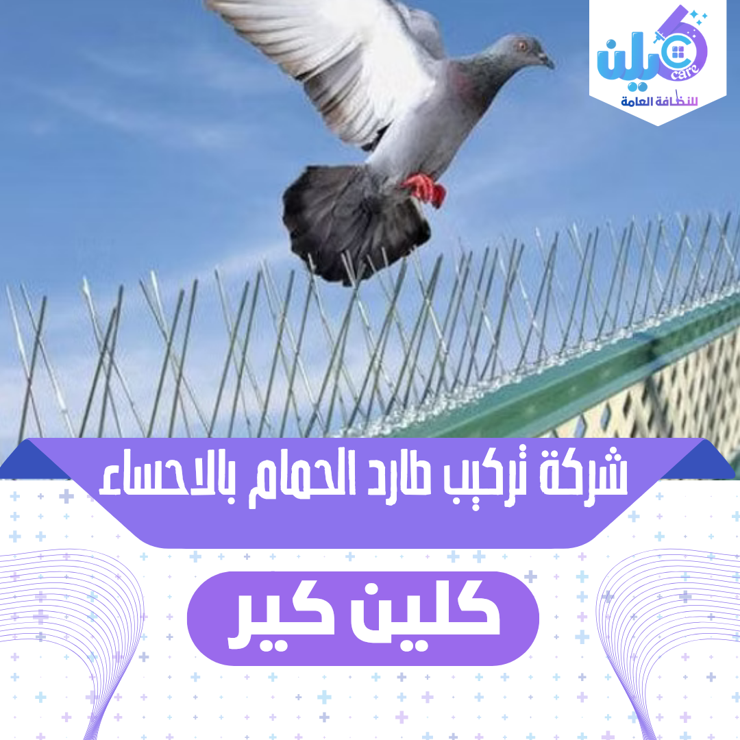 شركة تركيب طارد الحمام بالاحساء