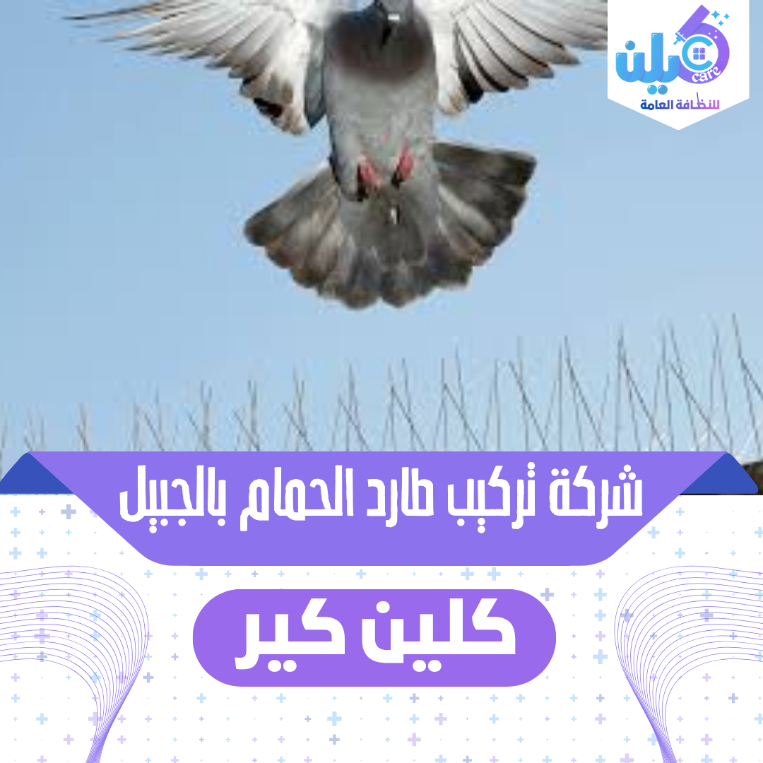 شركة تركيب طارد الحمام بالجبيل