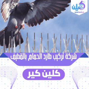 شركة تركيب طارد الحمام بالقطيف