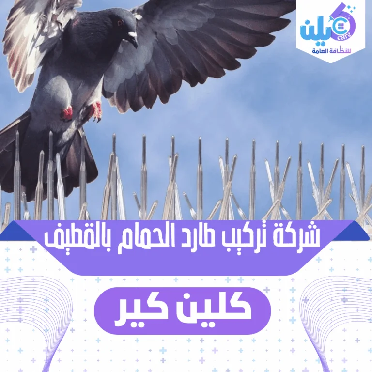 شركة تركيب طارد الحمام بالقطيف